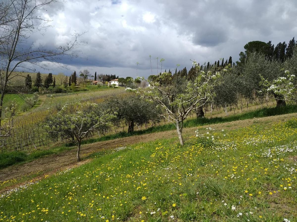 Agriturismo Ca'De'Gatti ฟาเอนซา ภายนอก รูปภาพ