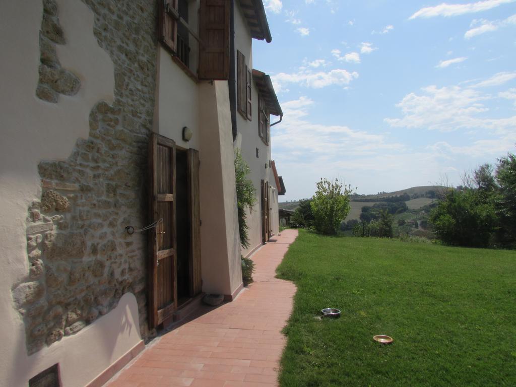 Agriturismo Ca'De'Gatti ฟาเอนซา ภายนอก รูปภาพ