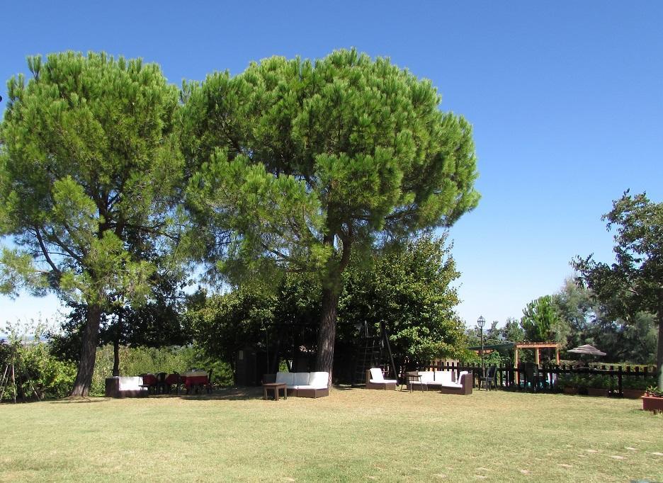 Agriturismo Ca'De'Gatti ฟาเอนซา ภายนอก รูปภาพ