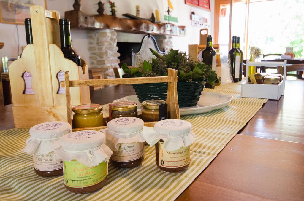 Agriturismo Ca'De'Gatti ฟาเอนซา ภายนอก รูปภาพ