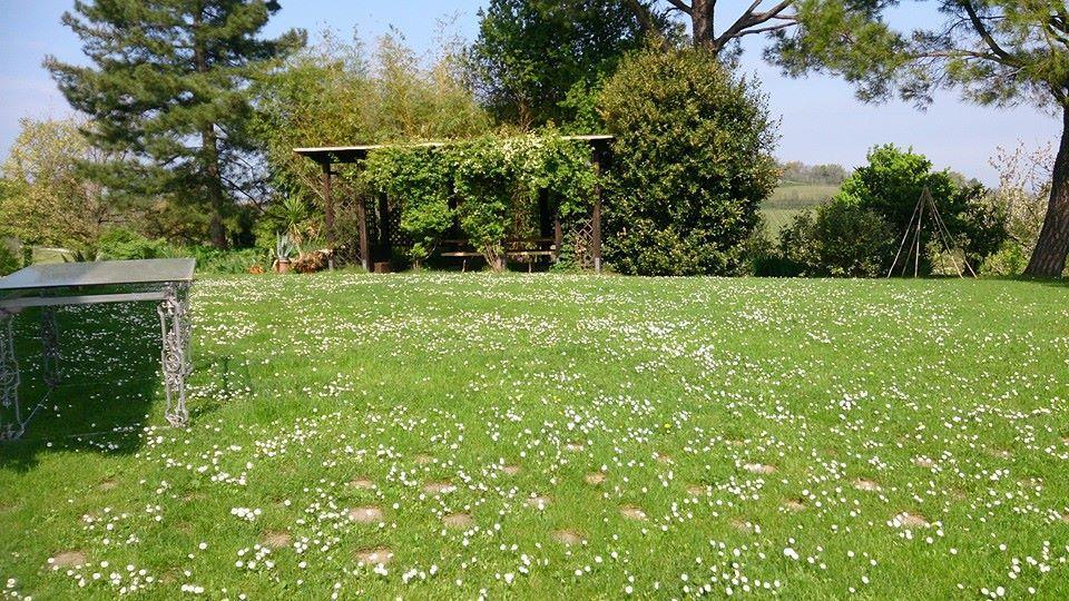 Agriturismo Ca'De'Gatti ฟาเอนซา ภายนอก รูปภาพ