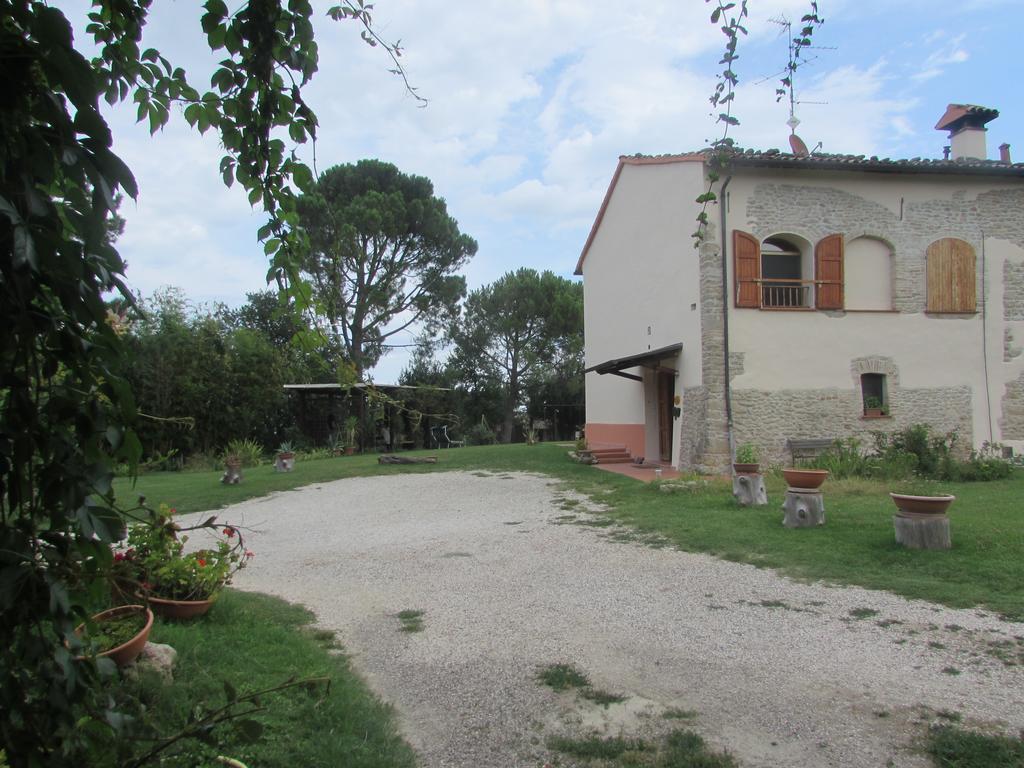 Agriturismo Ca'De'Gatti ฟาเอนซา ภายนอก รูปภาพ
