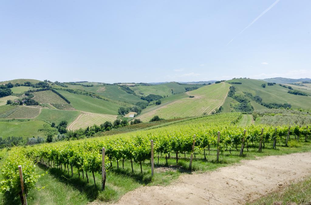 Agriturismo Ca'De'Gatti ฟาเอนซา ภายนอก รูปภาพ