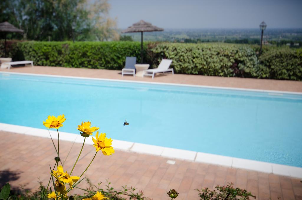Agriturismo Ca'De'Gatti ฟาเอนซา ภายนอก รูปภาพ