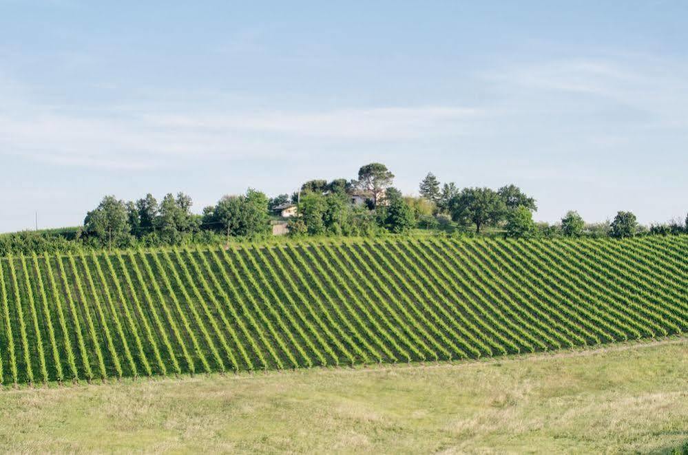 Agriturismo Ca'De'Gatti ฟาเอนซา ภายนอก รูปภาพ